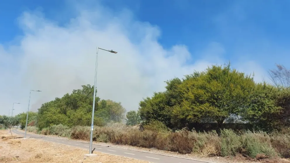 Ovalle: Incendio forestal en avenida Costanera fue controlado