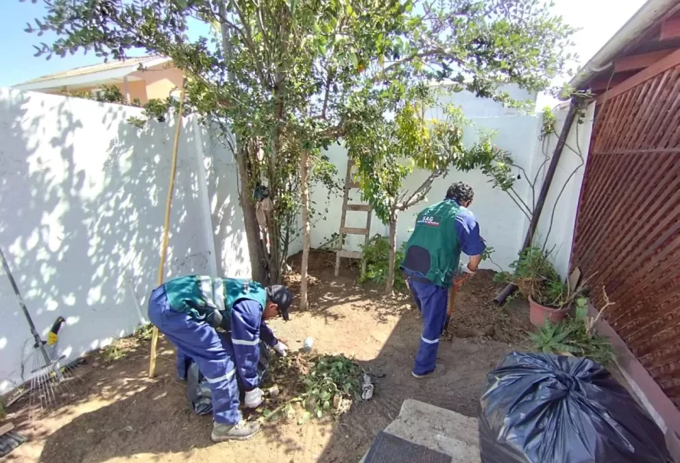 SAG confirma nueva captura  de mosca de la fruta en Sotaquí